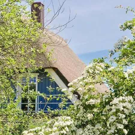 Haus Meerblau By Interhome